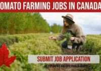 Farm Workers Required In Canada 2022