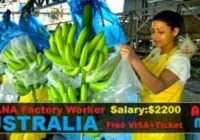 Australia Farm worker Jobs 2023