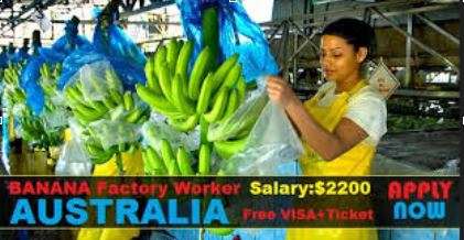 Australia Farm worker Jobs 2023