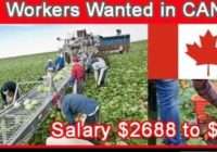 Farm Workers Jobs For In Canada 2023