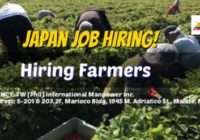 Japan Hiring Farmers For American Farms 