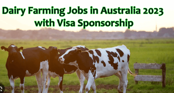 Grounds/Yard Keeper for a Local Dairy Farm in Australia with Visa Sponsorship – Apply Now