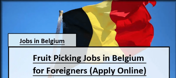 Fruit Picking Jobs in Belgium for Foreigners with Visa Sponsorship