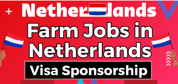 Farm Jobs in Netherland for Foreigners with Visa Sponsorship