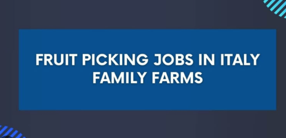Farm Worker/Fruit Picking Jobs in Italy 2024