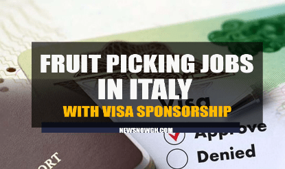 Fruit Picking and Packing Jobs in Italy 2024-2025