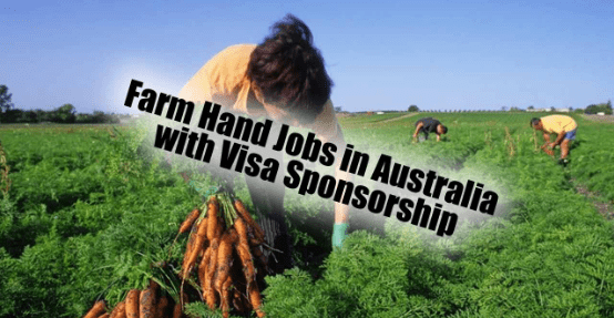 Farm Hand Jobs in Australia with Visa Sponsorship