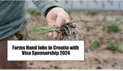 Farms Hand Jobs in Croatia with Visa Sponsorship 2024 (Apply Online)