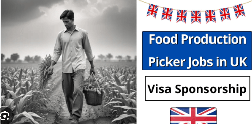 Fruit Picking Jobs in UK with Visa Sponsorship 2024