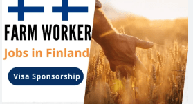 Farm Worker Jobs in Finland with Visa Sponsorship 2024#