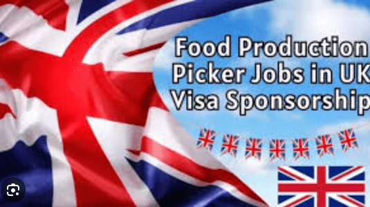 Food Production Picker Jobs in UK with Visa Sponsorship 2024
