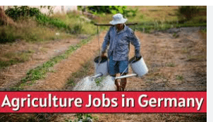 Agriculture Jobs in Germany with Visa Sponsorship 2024
