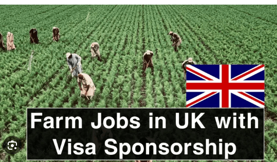 Farming Jobs in the UK For Foreigners 2024 – Visa Sponsored