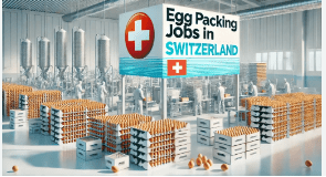 Egg Packing Jobs in Switzerland with Visa Sponsorship 2024