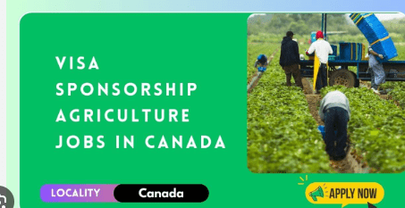 Visa Sponsorship Agriculture Farming Jobs in Canada 2024